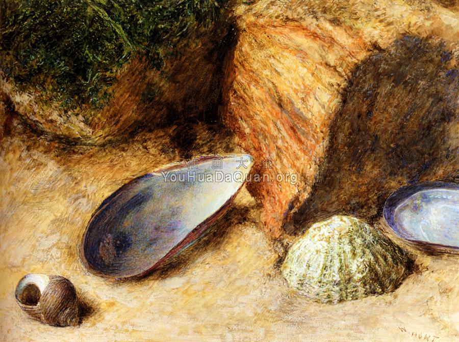 Still Life With Sea Shells On A Mossy Bank - 威廉·亨利·亨特
